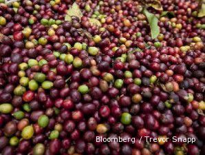 Tren harga kontrak kopi robusta terus meningkat
