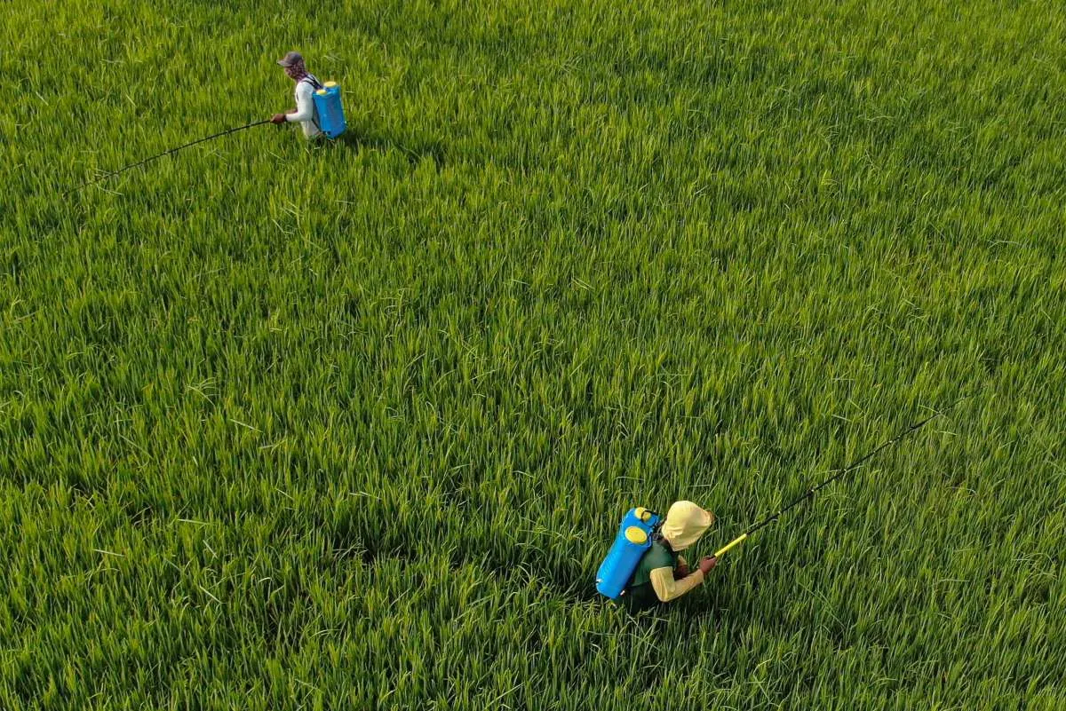 Sejarah Hari Tani Nasional 24 September: Lahirnya UUPA Nomor 5 Tahun 1960