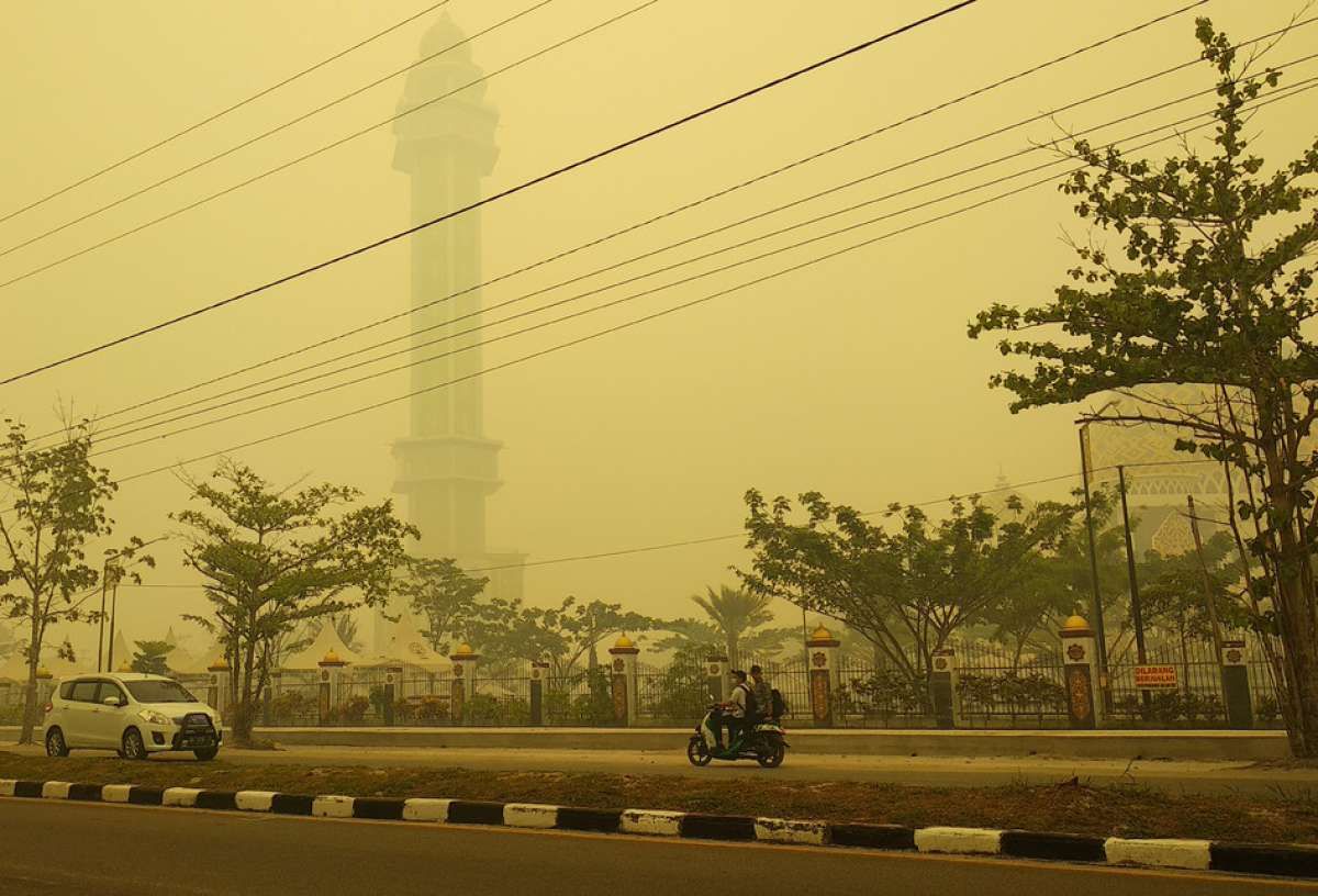 Perusahaan Triputra Jadi Tersangka Pembakar Hutan
