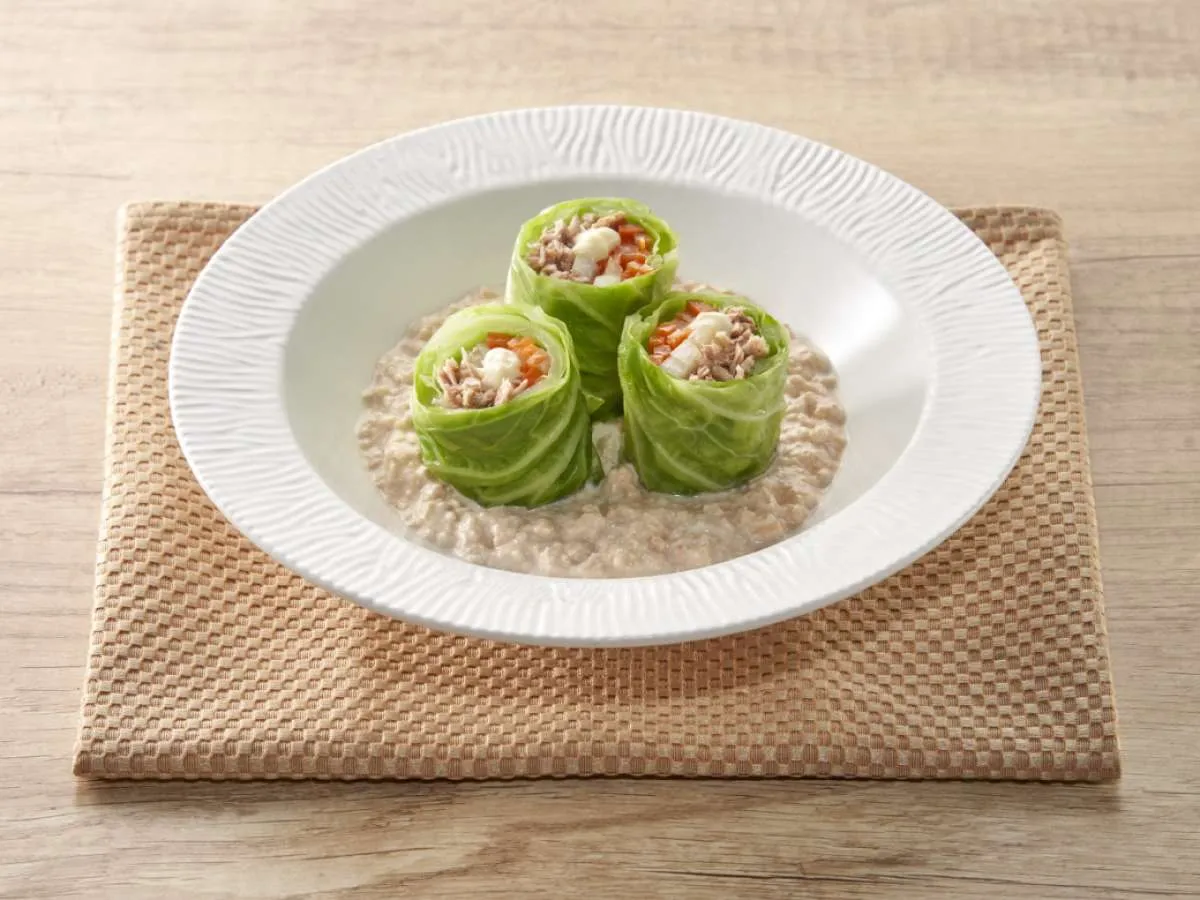 Resep Diet Sehat Bikin Salad Kol Gulung Anti Hambar