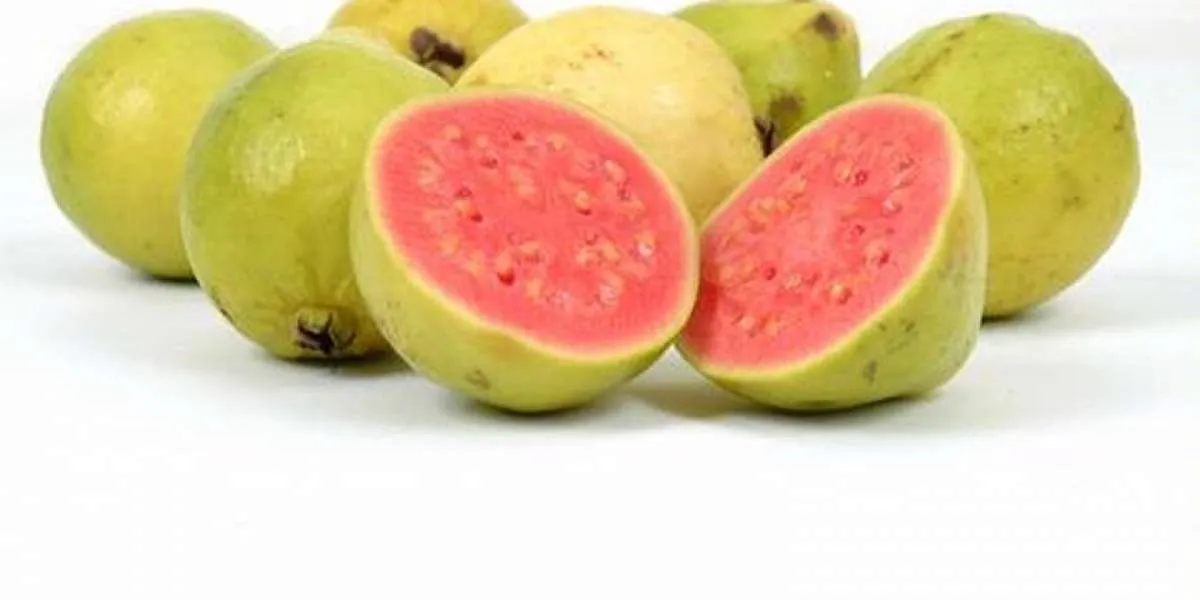 Membantu Melancarkan Pencernaan, Kenali 8 Manfaat Mengkonsumsi Jambu Biji