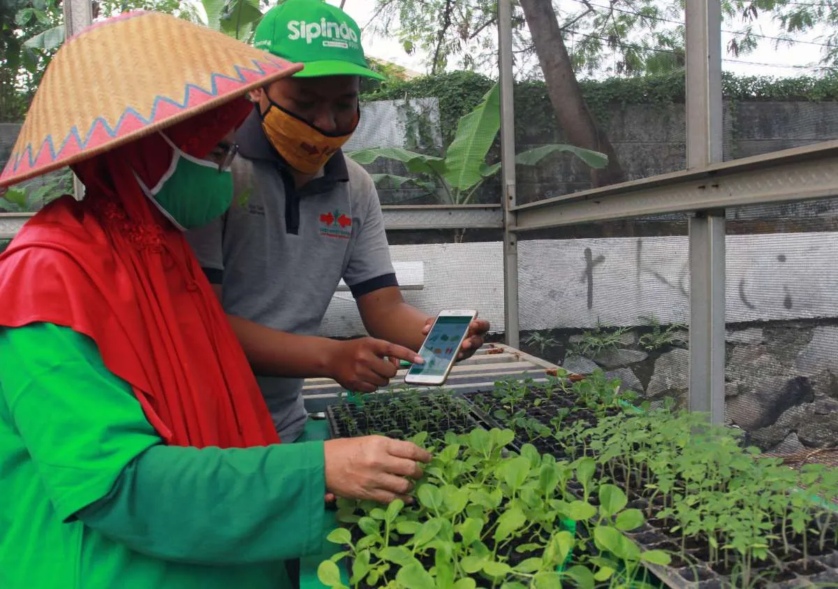 Kementan gelar pelatihan pemanfaatkan IT dan laporan utama bagi penyuluh pertanian