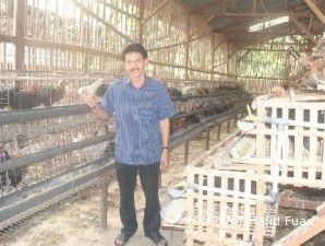 Bambang Krista: Rezeki ayam kampung tak kampungan (1)