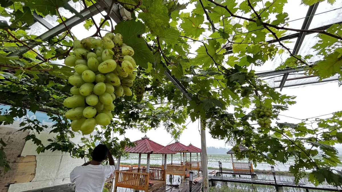Terima Dana CSR dari BRI, Dusun Sabin Siap Tampil dengan Wajah Baru