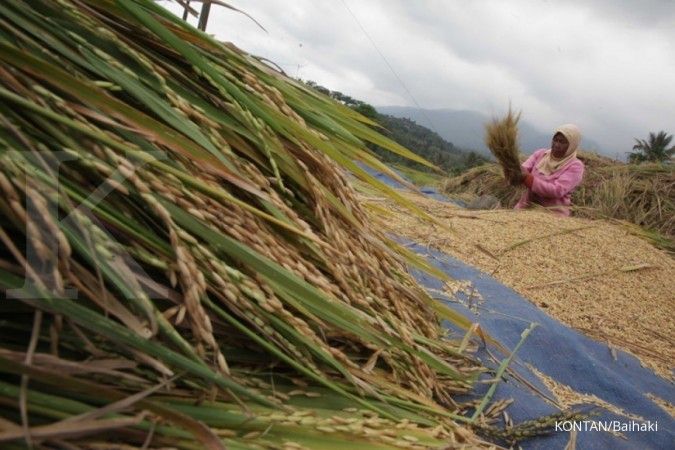 Jelang tahun politik, pemerintah harus perkuat stok cadangan beras 