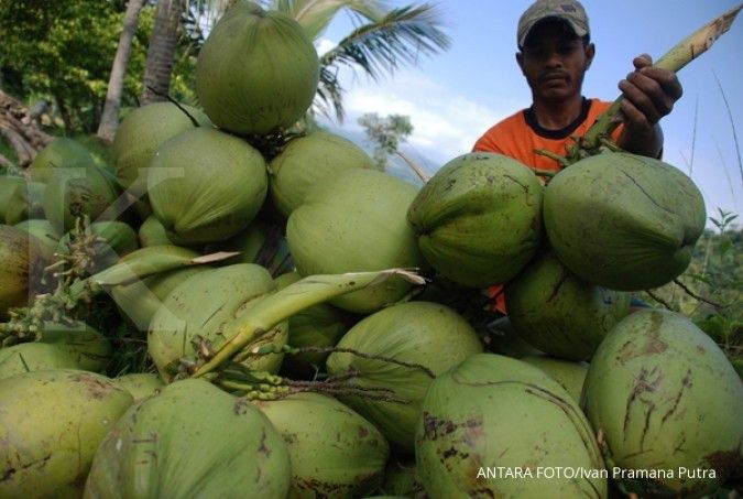 Kadin dorong pembangunan industri kelapa terpadu agar beri nilai tambah