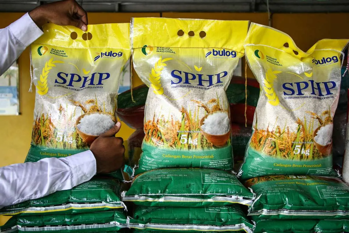 Cadangan Beras Tembus 5 Juta Ton, Distribusi dan Kesejahteraan Petani Jadi Tantangan