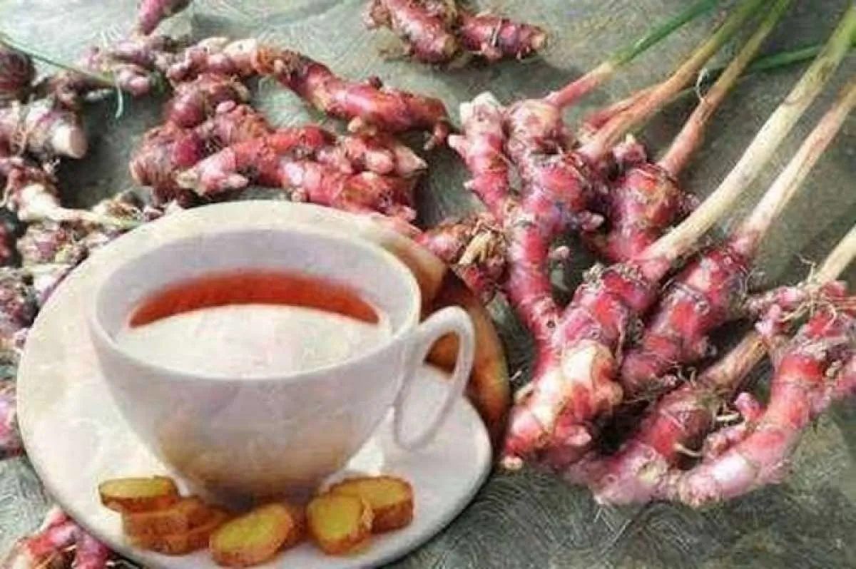 Mampu Menjaga Kesehatan Jantung, Kenali 6 Manfaat Jahe Merah Ini