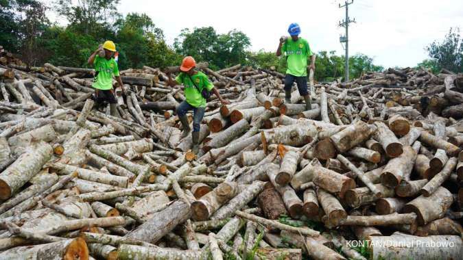 Menilik Potensi Cuan Bisnis Wood Pellet untuk Energi Terbarukan