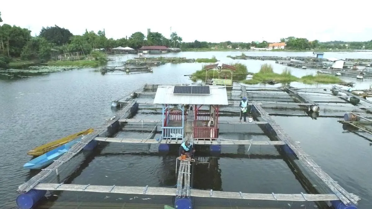 PLN Indonesia Power Pasang 2.000 Watt Peak PLTS di Keramba Nelayan Pasuruan