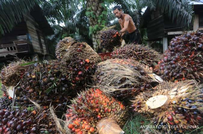 Astra Agro Lestari (AALI) Bukukan Laba Bersih Rp 1,14 Triliun Sepanjang 2024