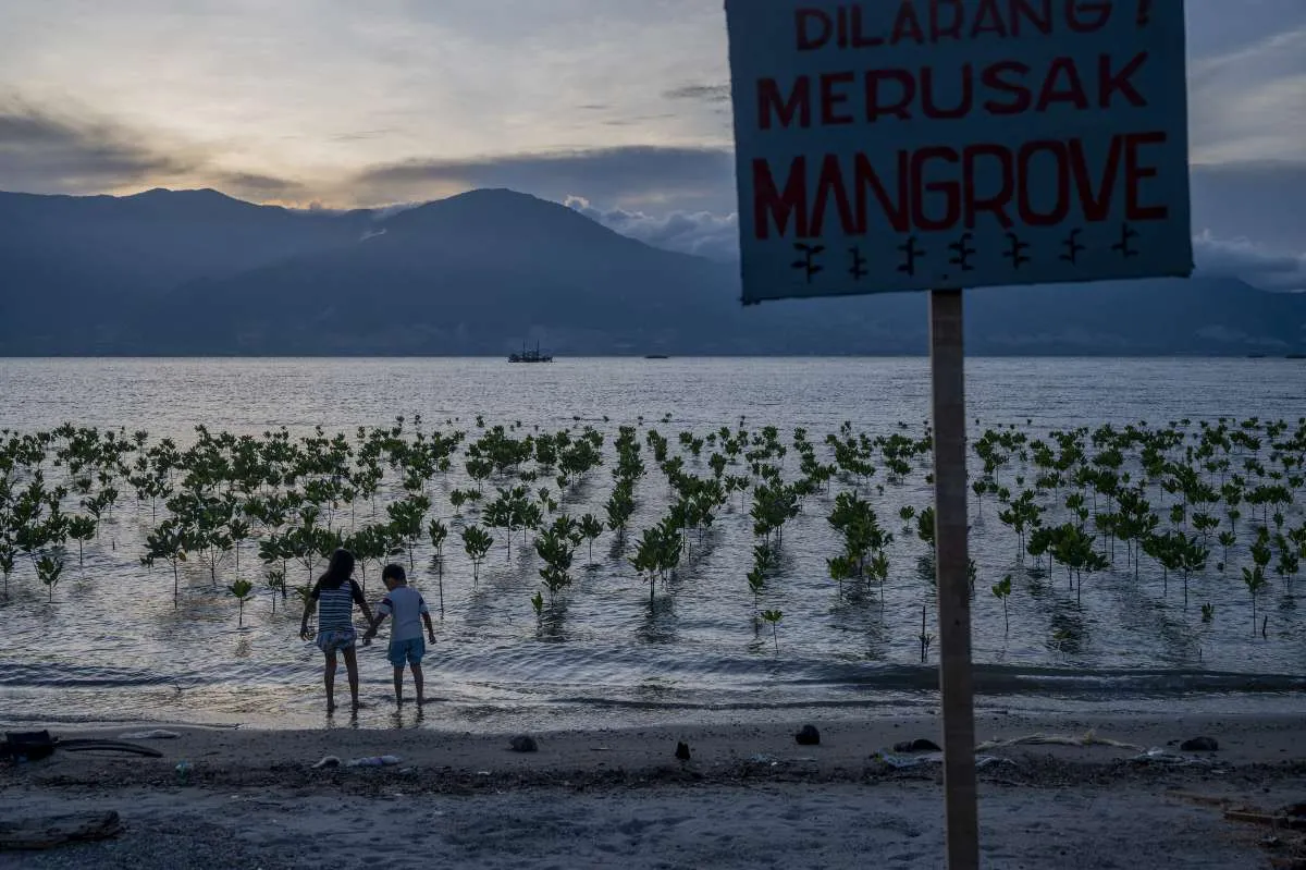 Usung Semangat Tumbuh Bersama, Danamon Tanam 10.000 Pohon Mangrove di Pantai Tirang