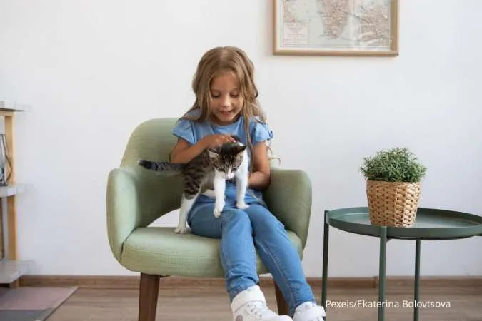 Agar Tidak Rusak, Begini Cara Mencegah Kucing Mencakar Sofa di Rumah