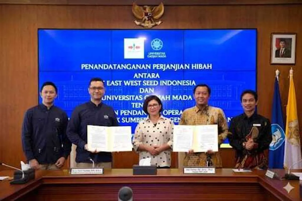  Perkuat Ketahanan Pangan, Ewindo dan UGM Kembangkan Bank Genetik Sayuran