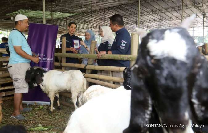 Harga Kambing dan Sapi Kurban Idul Adha 2025 untuk Wilayah Kulon Progo