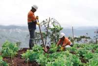 Weda Bay Nickel Bangun Pengolahan Air Bersih di Halmahera Tengah 