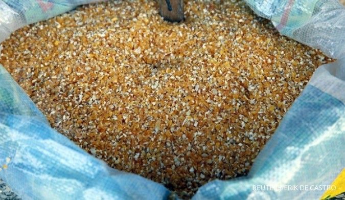 Harga jatuh, Mentan desak industri serap jagung