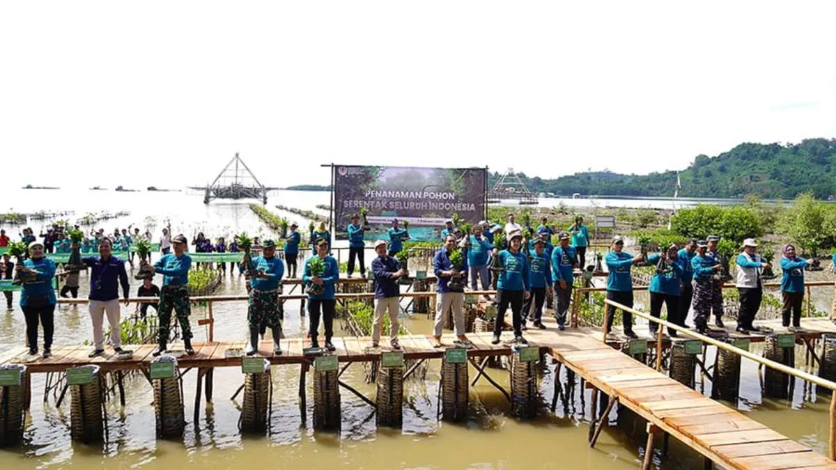 Dorong Pelestarian Lingkungan, Grup MIND ID Lakukan Aksi Penanaman Mangrove