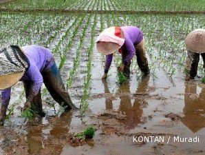 Indonesia akan krisis pangan jika lahan pertanian tidak bertambah