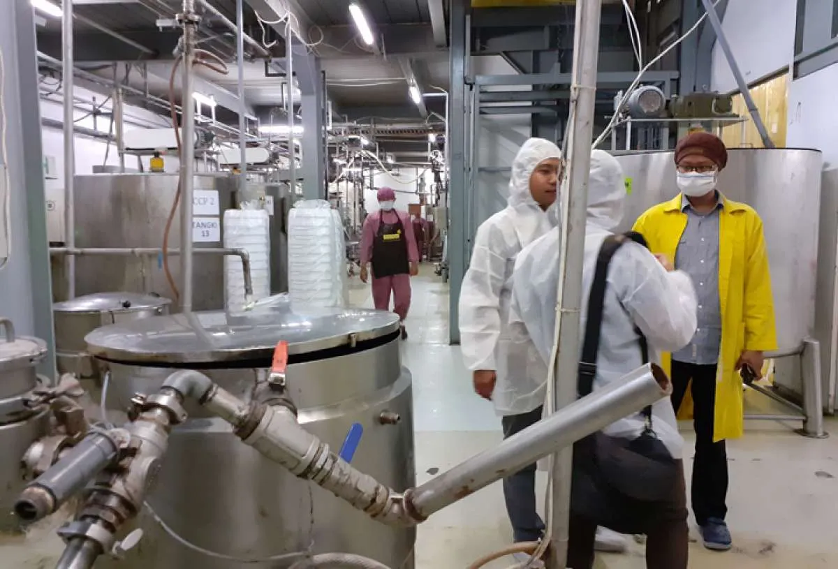 Ini yang bikin laba bersih Wahana Interfood (COCO) melesat hingga kuartal III