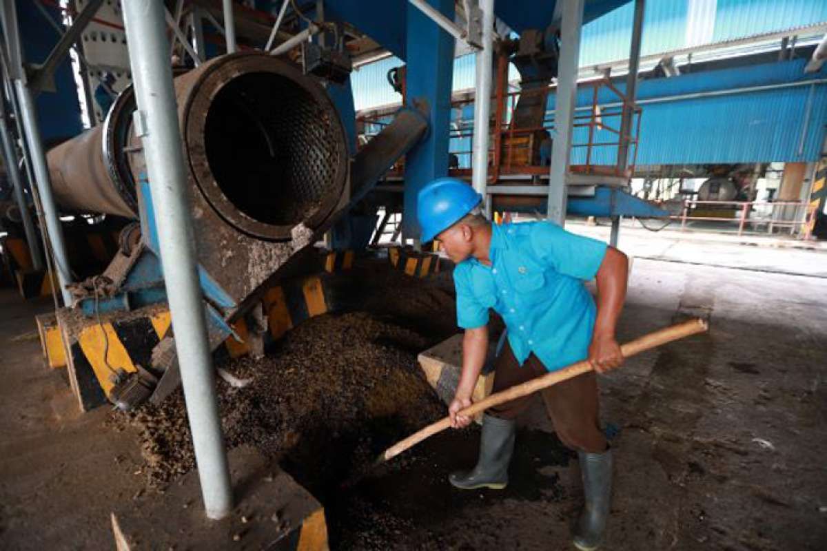Kenaikan Harga Minyak Sawit Menyokong Kinerja PT Cisadane Sawit Raya Tbk (CSRA)