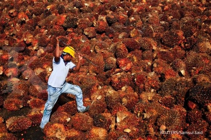 Kemperin : Manfaatkan tandan kosong kelapa sawit untuk industri pulp