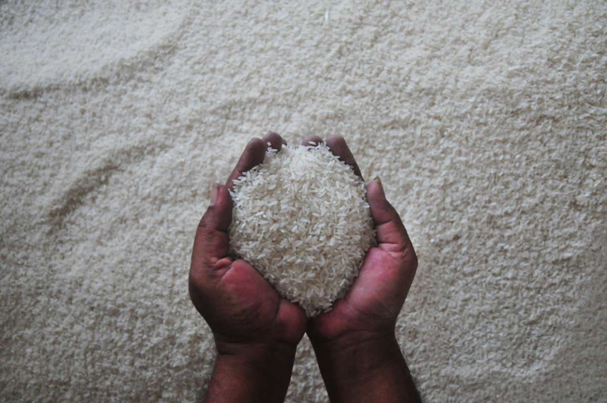 Titik Keseimbangan Baru Harga Beras