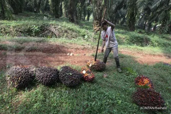 Indonesian planters see drought hitting palm oil output