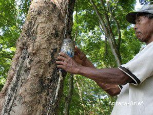 Stimulus untuk Petani Karet dan Sawit
