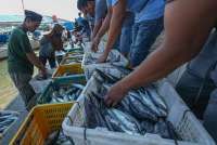 Satgassus Penerimaan Polri Ungkap Kendala Pungut PNBP di Sektor Perikanan