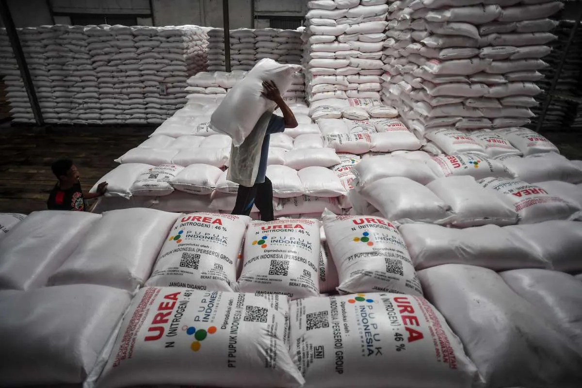Indonesia Berpeluang Perluas Ekspor Pupuk di Tengah Krisis Pasokan Global