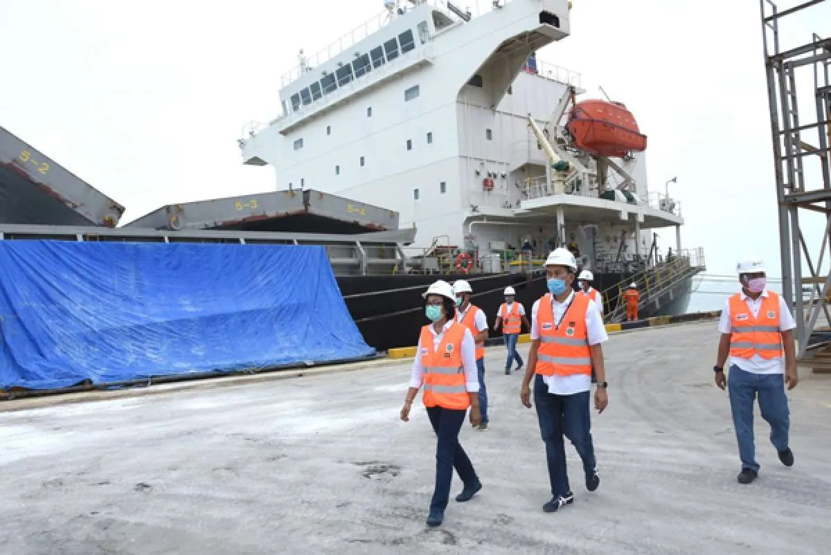 Pemerintah Bidik Ekspor 1 Juta Ton Pupuk, Sasar India, Brasil, Thailand, & Filipina