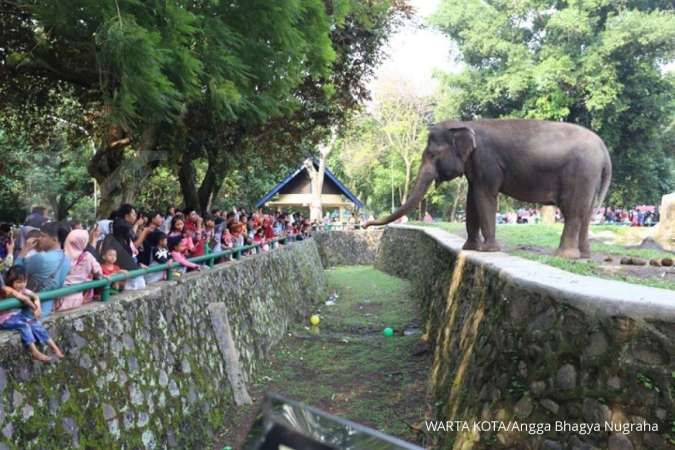 27 Desember ada Peringatan Unik Hari Kunjungan Kebun Binatang, ini Penjelasannya