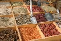 Sambut Peta Jalan Hilirisasi Rempah,Kemendag Pasarkan Rempah Indonesia ke Pasar Dunia