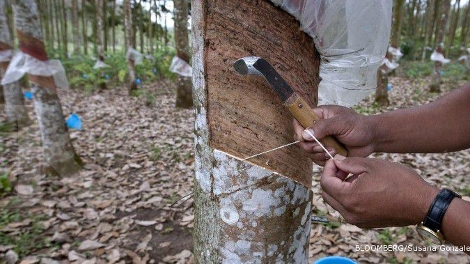 Harga turun, negara produsen karet berkumpul