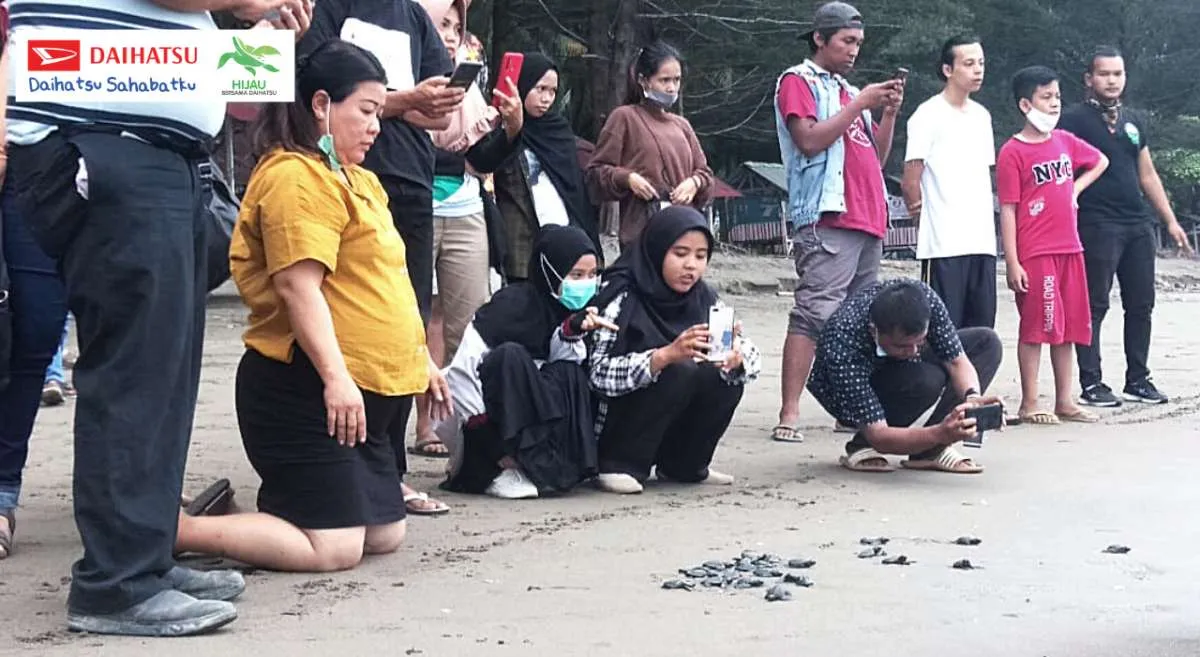 Daihatsu rangkul 6 konservasi penyu di berbagai wilayah Indonesia