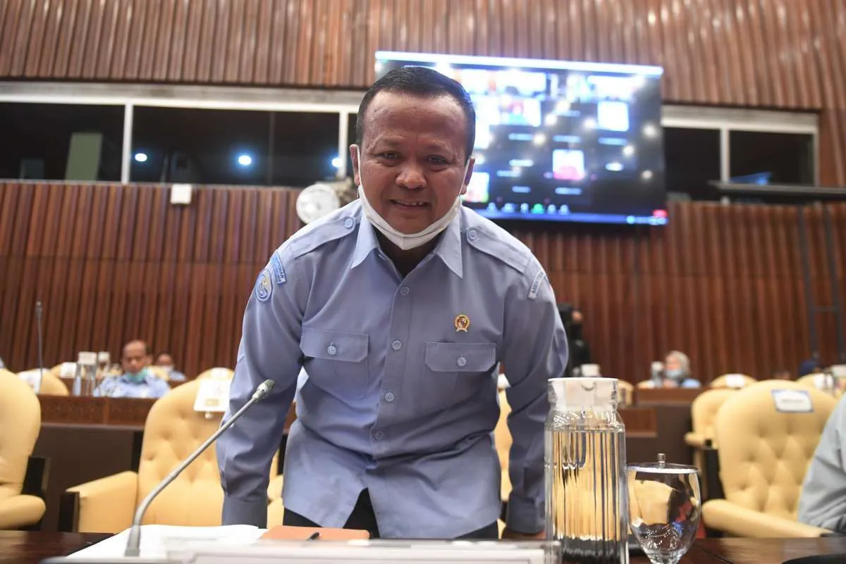 Ada usulan micin dibuat dari bahan dasar ikan, siapa setuju? 