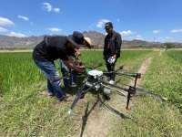 Ekosistem Digital Penentu Ketahanan Pangan, Smart Farming Jadi Langkah Awal