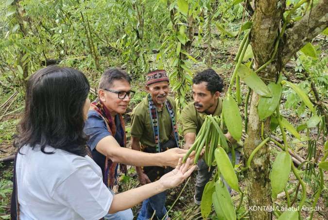 Cuan Vanili dari Desa Loha di Manggarai Barat NTT Semakin Wangi