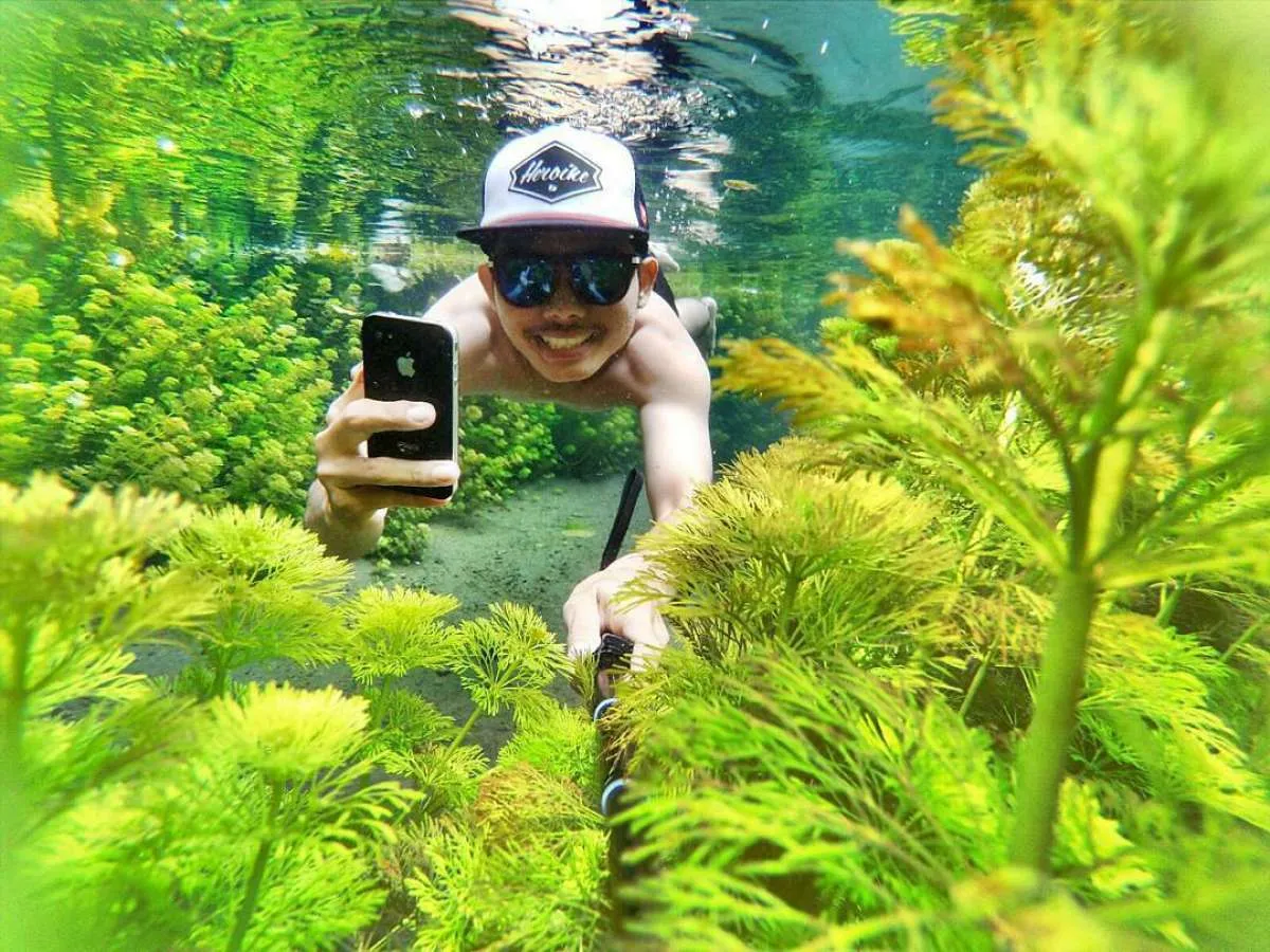 Berenang di Wisata Sumber Sirah bisa sambil lihat ganggang dan ikan-ikan kecil loh!