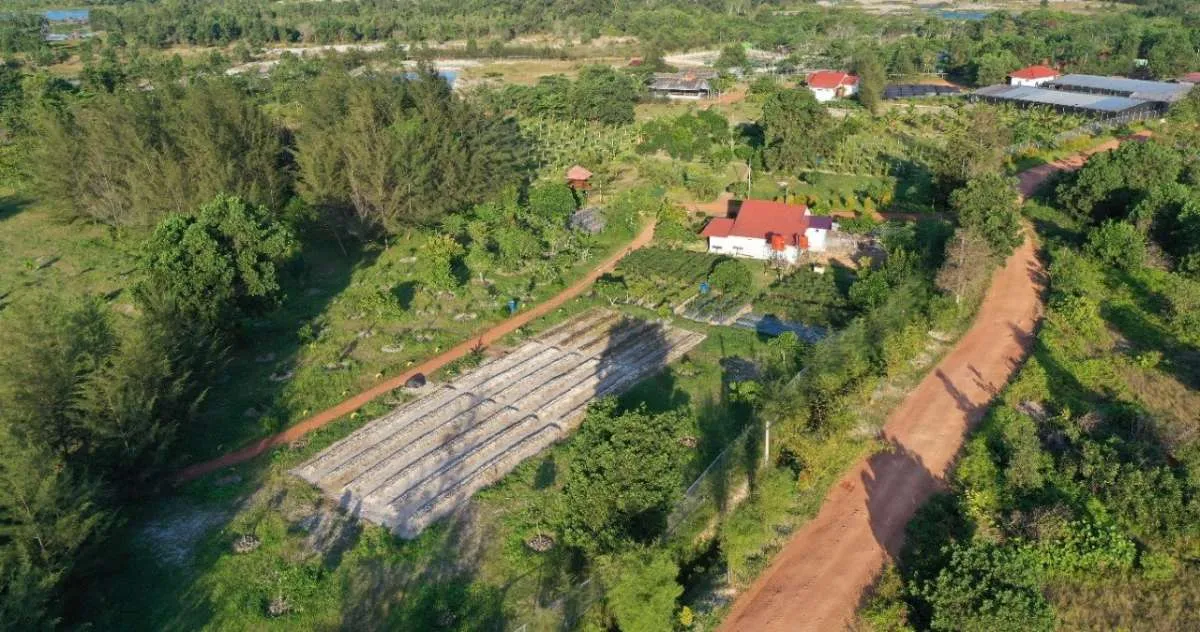 Ciptakan Keberlangsungan Bisnis Pertambangan, MIND ID Patuhi Standar ICMM