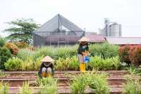 Kemenperin Menetapkan Pabrik Semen Gresik Rembang sebagai Objek Vital Nasional