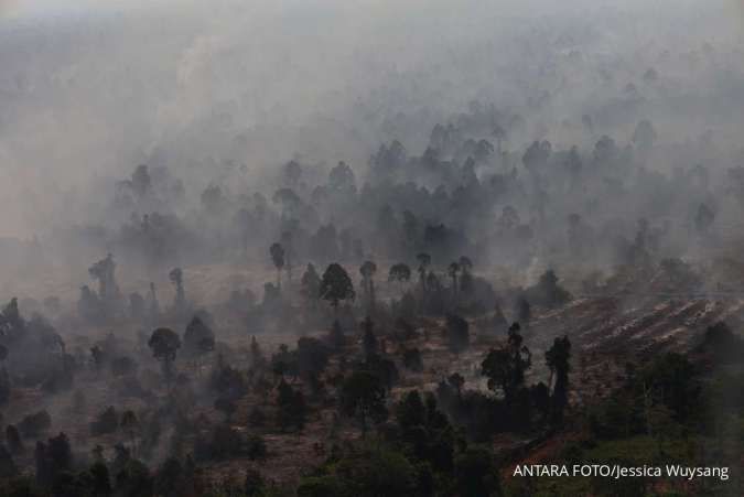 Pantau Gambut: Hotspot di KHG Melonjak, 295 Konsesi Perkebunan Terdampak