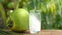 4 Manfaat Buah Kelapa Untuk Kesehatan dari Air hingga Minyaknya