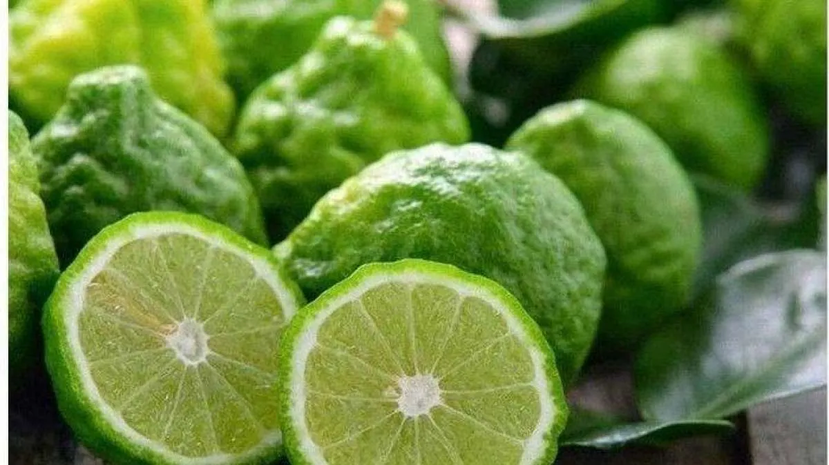 Sederet manfaat jeruk purut untuk kesehatan
