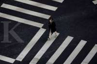 Minimalkan dampak corona, CSIS minta pemerintah optimalkan ekonomi dalam negeri