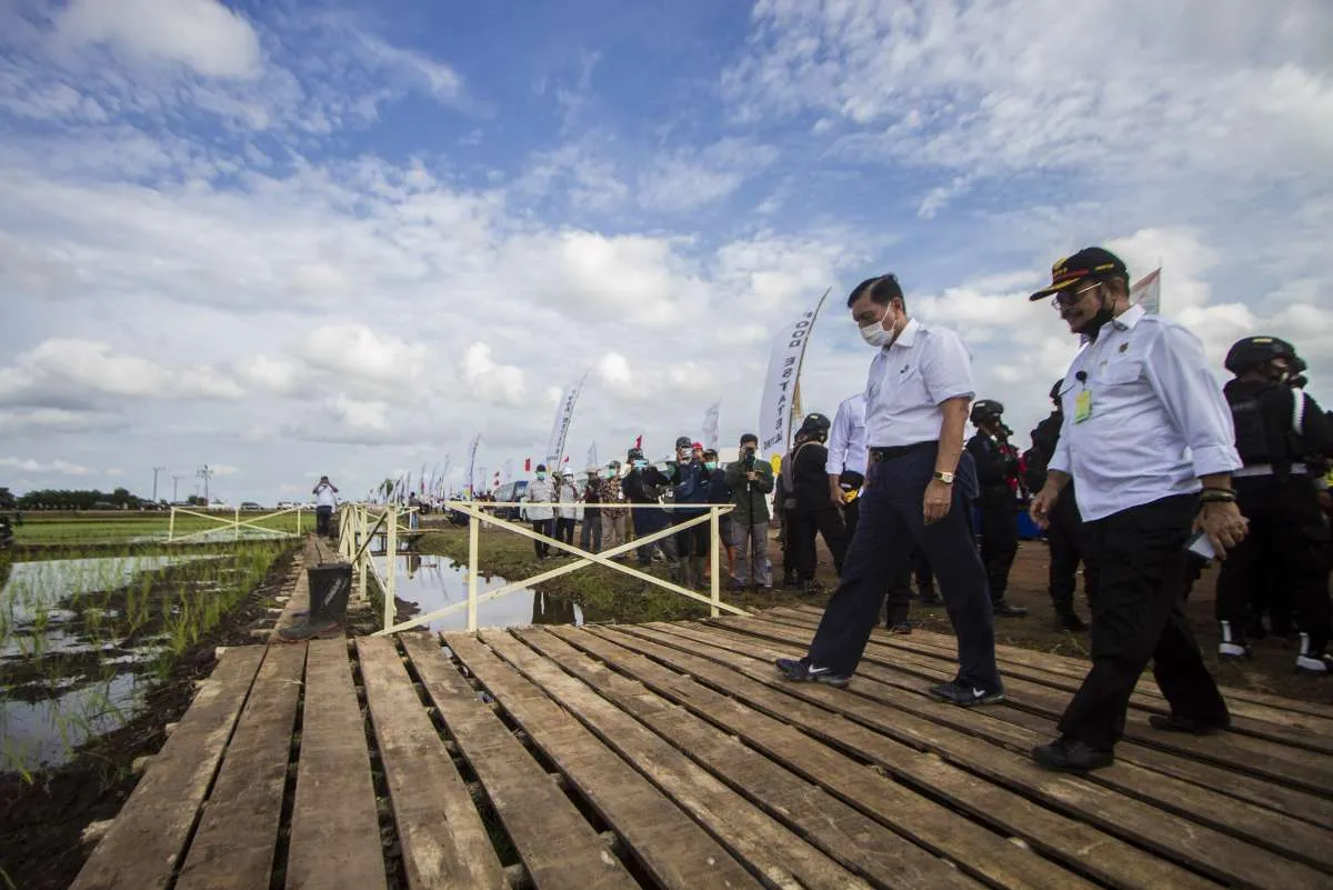 Kementan sebut akan terus tambah luas lahan Food Estate pada tahun ini