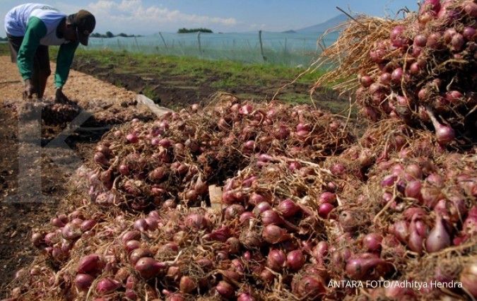 Indonesia dapat swasembada bawang merah