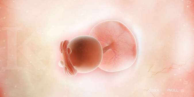 Calon Ibu Wajib Tahu! Ini Tanda-Tanda Kehamilan di Minggu Pertama