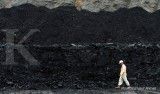 Berau Coal masih kaji putusan uji materiil MK soal perpanjangan kontrak KK/PKP2B